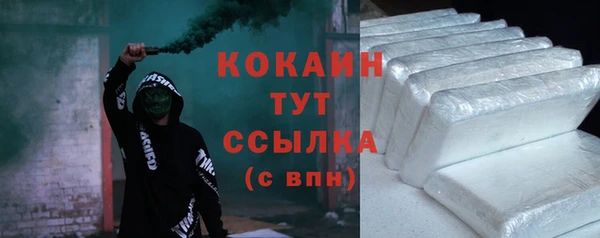 гашик Арсеньев