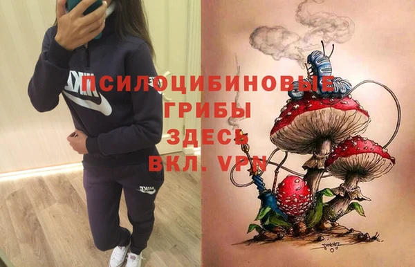 гашик Арсеньев