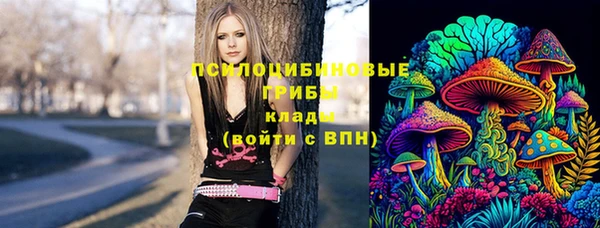 гашик Арсеньев