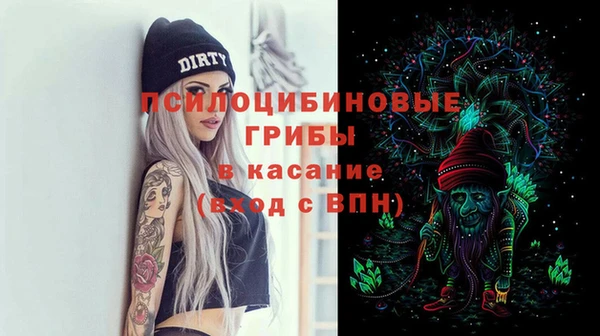 ГАЛЛЮЦИНОГЕННЫЕ ГРИБЫ Армянск